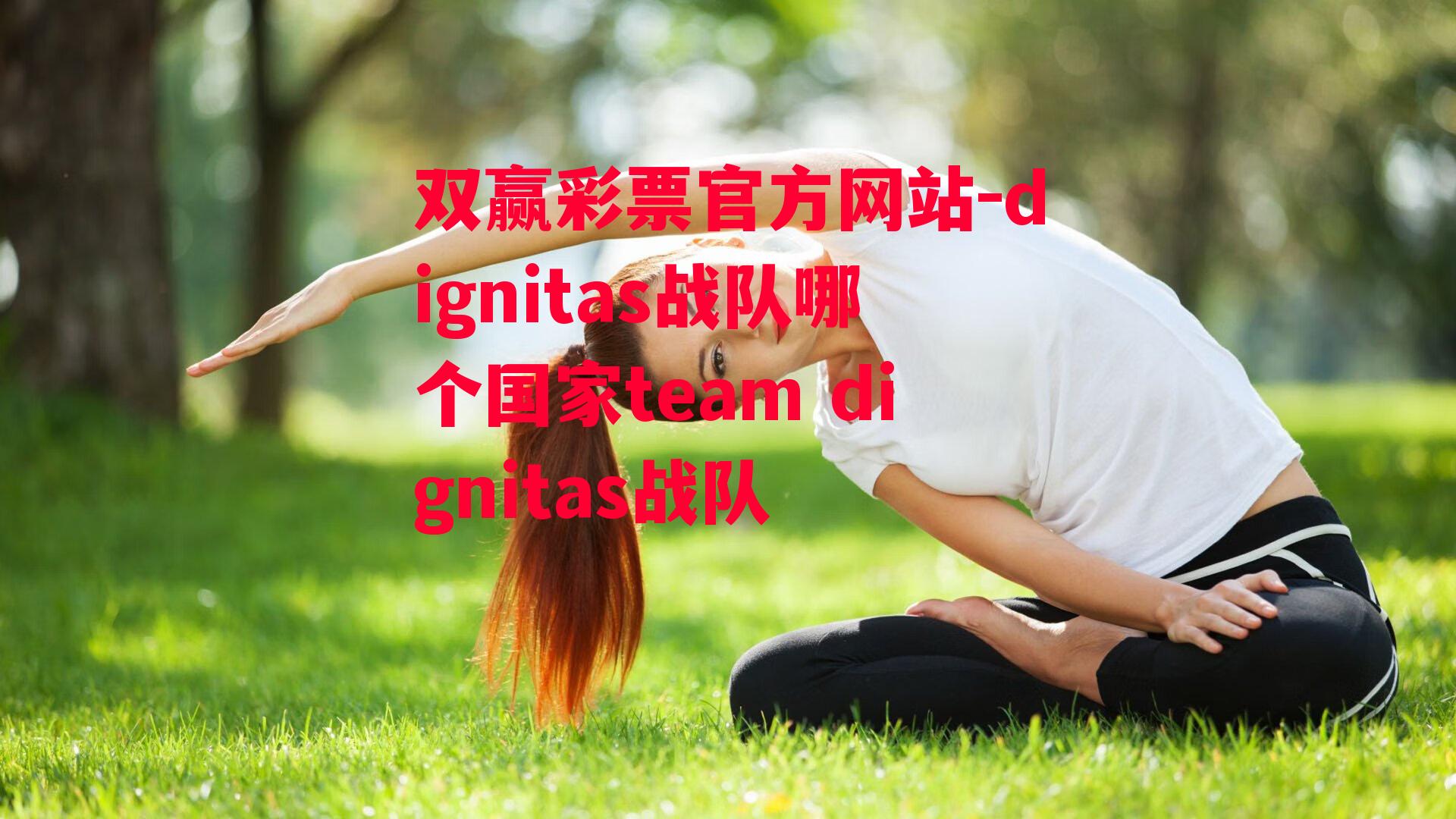 dignitas战队哪个国家team dignitas战队